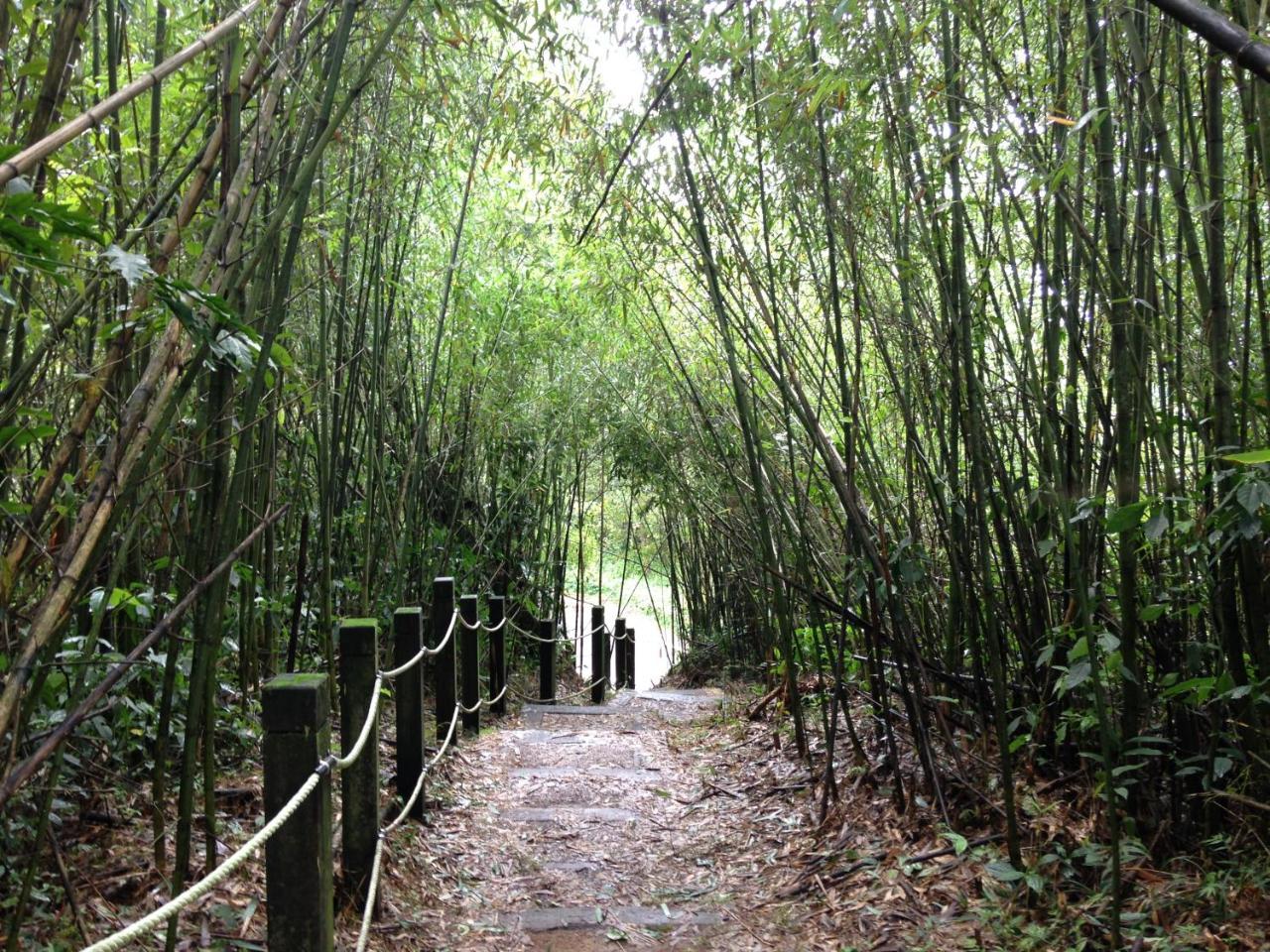 Alishan Mao Hsin Fenchihu Esterno foto